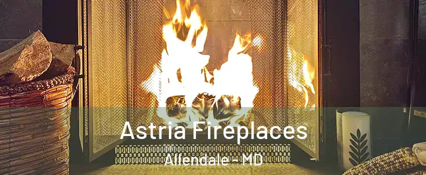 Astria Fireplaces Allendale - MD