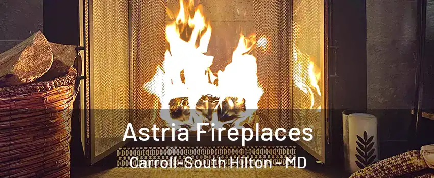 Astria Fireplaces Carroll-South Hilton - MD