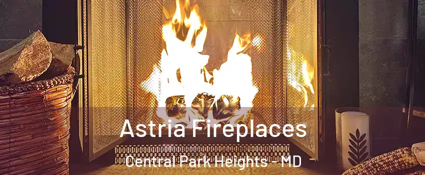 Astria Fireplaces Central Park Heights - MD