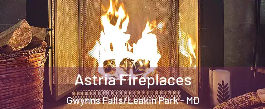 Astria Fireplaces Gwynns Falls/Leakin Park - MD