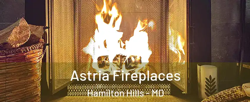 Astria Fireplaces Hamilton Hills - MD