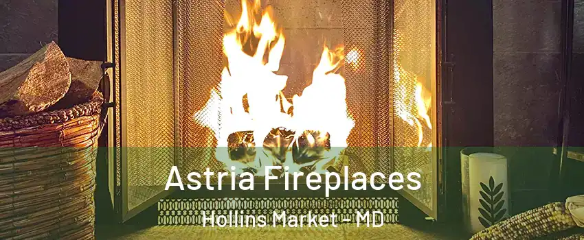 Astria Fireplaces Hollins Market - MD