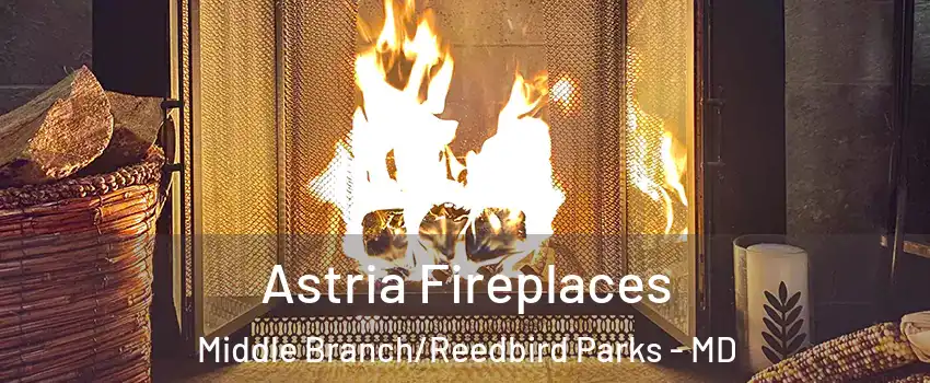 Astria Fireplaces Middle Branch/Reedbird Parks - MD