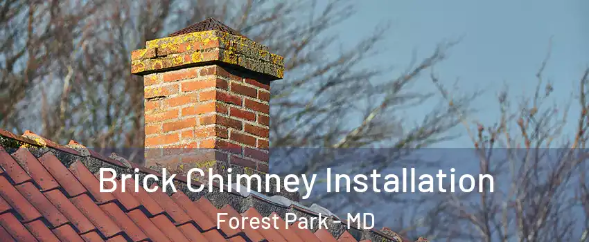 Brick Chimney Installation Forest Park - MD