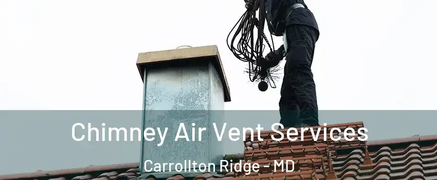 Chimney Air Vent Services Carrollton Ridge - MD