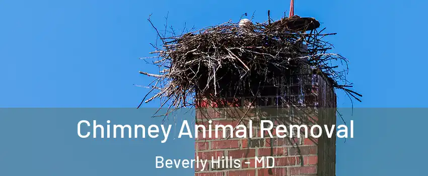 Chimney Animal Removal Beverly Hills - MD