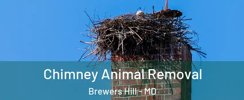 Chimney Animal Removal Brewers Hill - MD