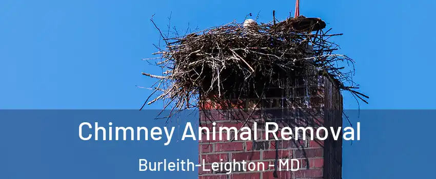 Chimney Animal Removal Burleith-Leighton - MD