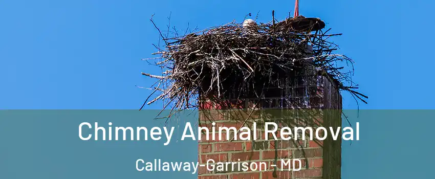 Chimney Animal Removal Callaway-Garrison - MD