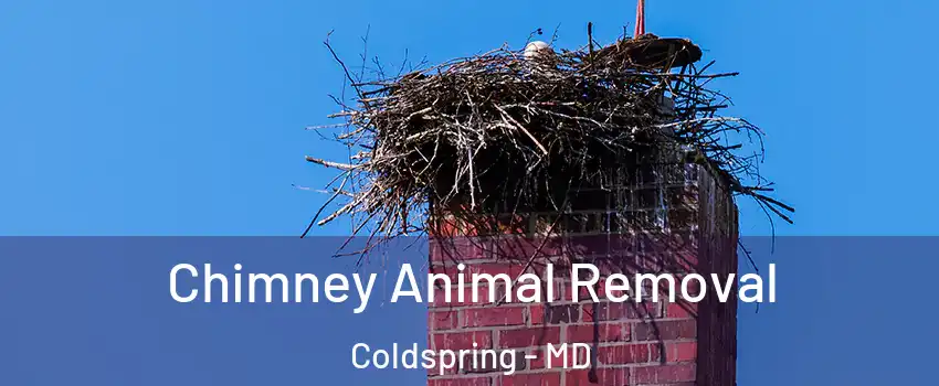 Chimney Animal Removal Coldspring - MD