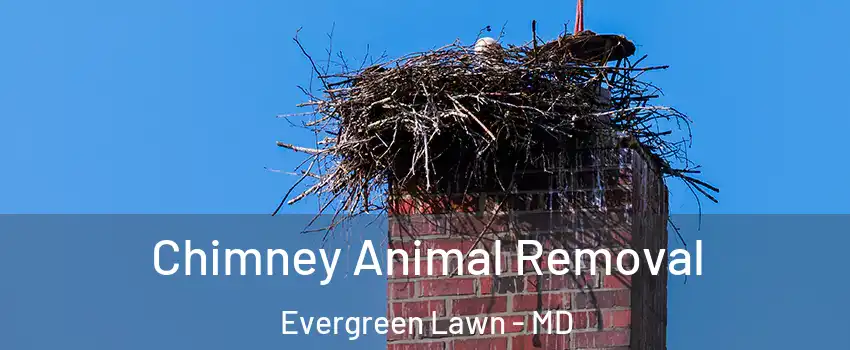 Chimney Animal Removal Evergreen Lawn - MD