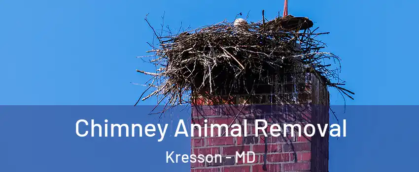 Chimney Animal Removal Kresson - MD