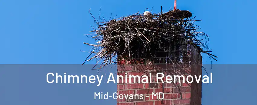 Chimney Animal Removal Mid-Govans - MD