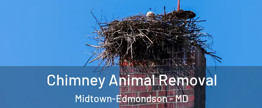 Chimney Animal Removal Midtown-Edmondson - MD