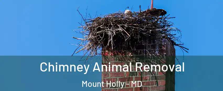 Chimney Animal Removal Mount Holly - MD