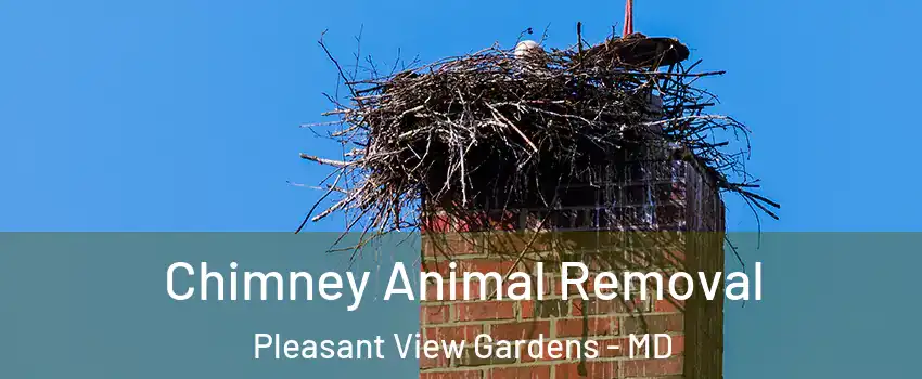 Chimney Animal Removal Pleasant View Gardens - MD