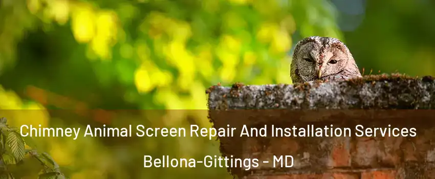 Chimney Animal Screen Repair And Installation Services Bellona-Gittings - MD