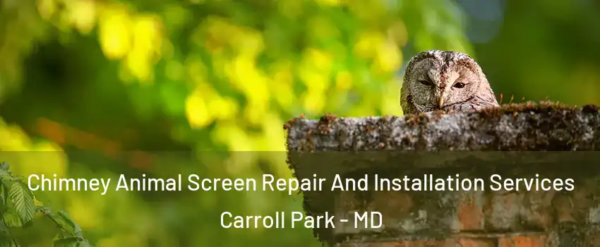 Chimney Animal Screen Repair And Installation Services Carroll Park - MD