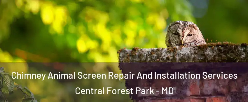 Chimney Animal Screen Repair And Installation Services Central Forest Park - MD