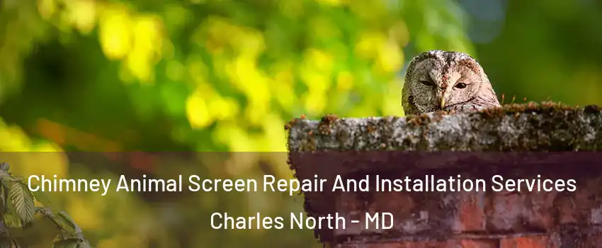 Chimney Animal Screen Repair And Installation Services Charles North - MD