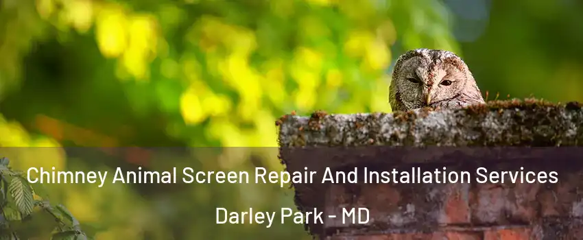 Chimney Animal Screen Repair And Installation Services Darley Park - MD