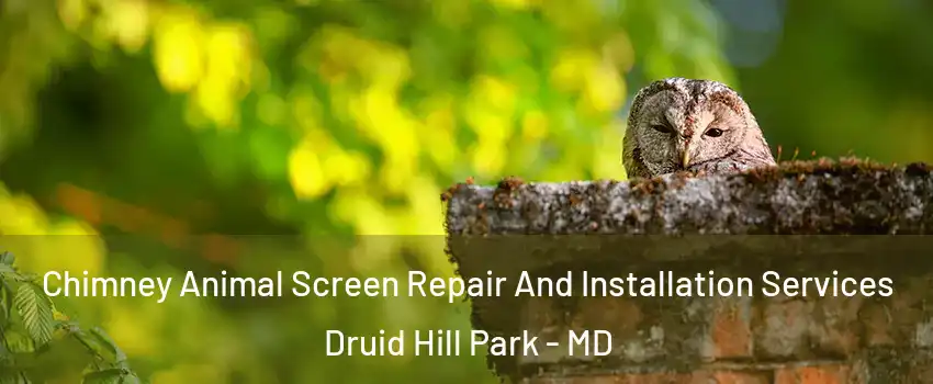 Chimney Animal Screen Repair And Installation Services Druid Hill Park - MD