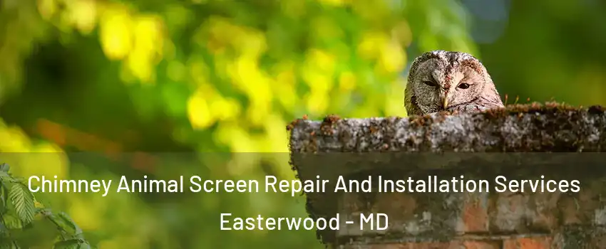 Chimney Animal Screen Repair And Installation Services Easterwood - MD