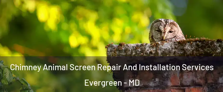 Chimney Animal Screen Repair And Installation Services Evergreen - MD