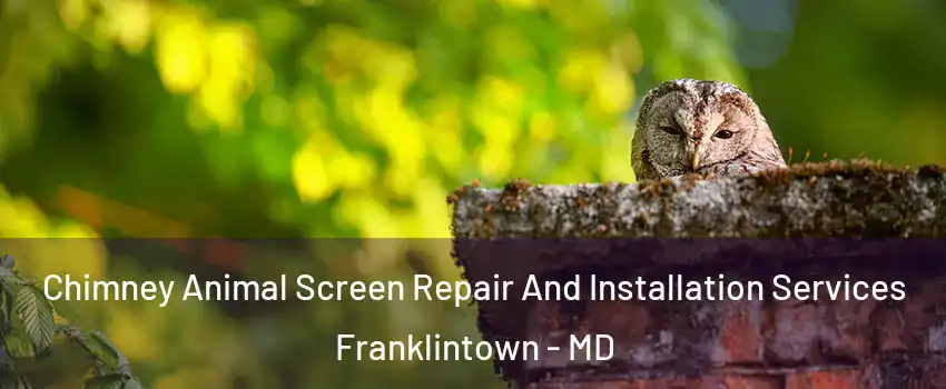 Chimney Animal Screen Repair And Installation Services Franklintown - MD