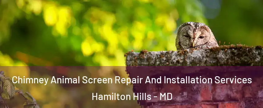 Chimney Animal Screen Repair And Installation Services Hamilton Hills - MD