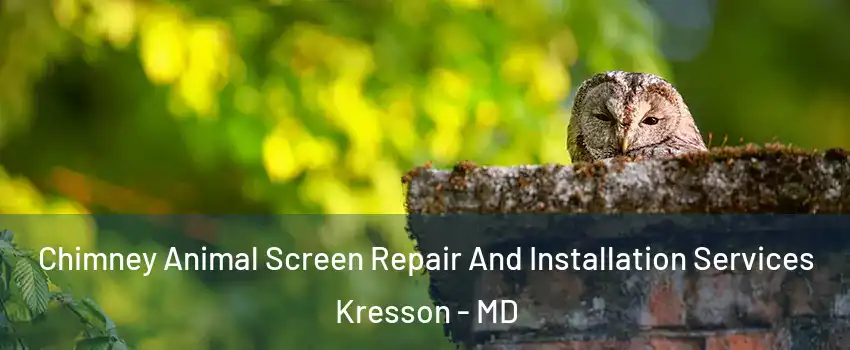 Chimney Animal Screen Repair And Installation Services Kresson - MD