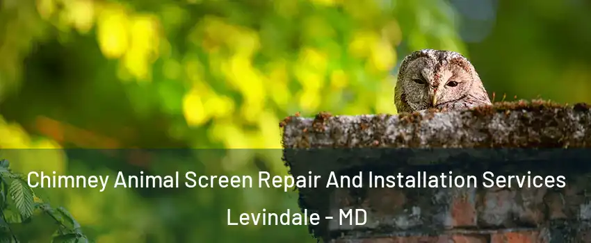 Chimney Animal Screen Repair And Installation Services Levindale - MD