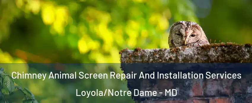 Chimney Animal Screen Repair And Installation Services Loyola/Notre Dame - MD