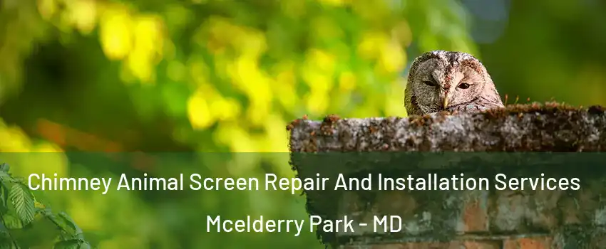 Chimney Animal Screen Repair And Installation Services Mcelderry Park - MD