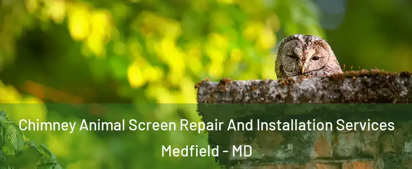 Chimney Animal Screen Repair And Installation Services Medfield - MD