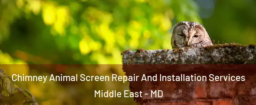 Chimney Animal Screen Repair And Installation Services Middle East - MD