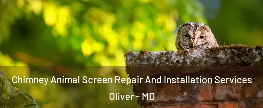 Chimney Animal Screen Repair And Installation Services Oliver - MD