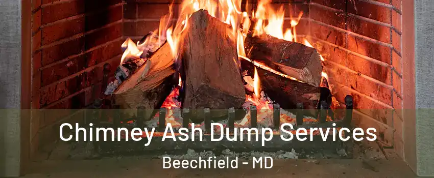 Chimney Ash Dump Services Beechfield - MD