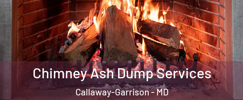 Chimney Ash Dump Services Callaway-Garrison - MD