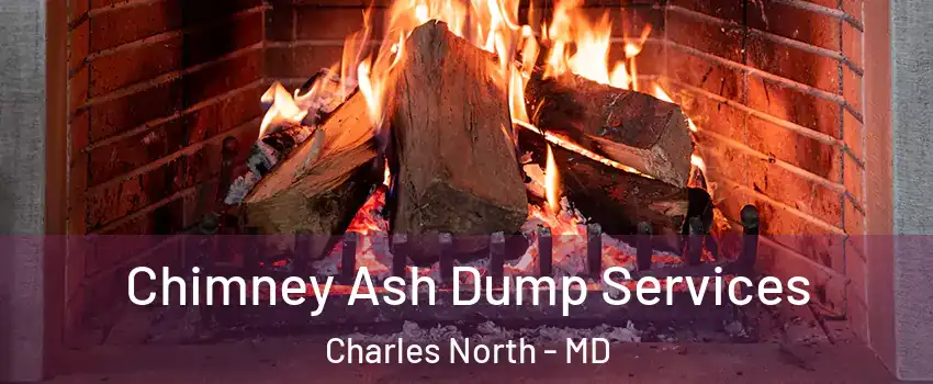 Chimney Ash Dump Services Charles North - MD