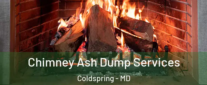 Chimney Ash Dump Services Coldspring - MD