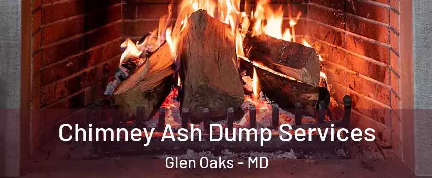 Chimney Ash Dump Services Glen Oaks - MD