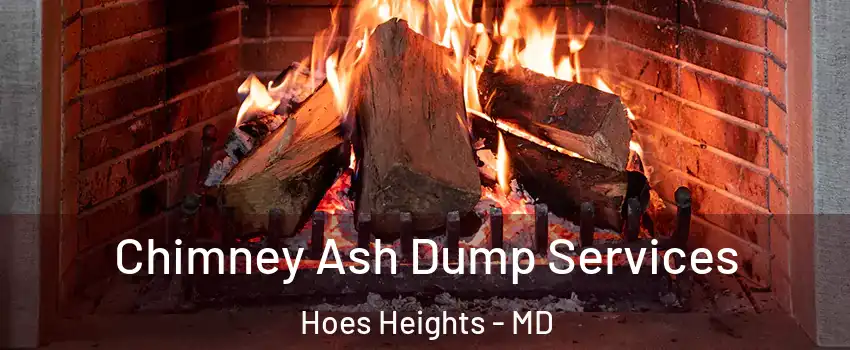 Chimney Ash Dump Services Hoes Heights - MD