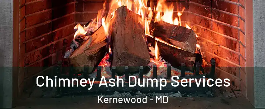 Chimney Ash Dump Services Kernewood - MD