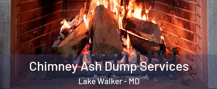 Chimney Ash Dump Services Lake Walker - MD