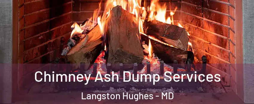 Chimney Ash Dump Services Langston Hughes - MD