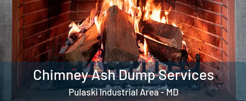 Chimney Ash Dump Services Pulaski Industrial Area - MD