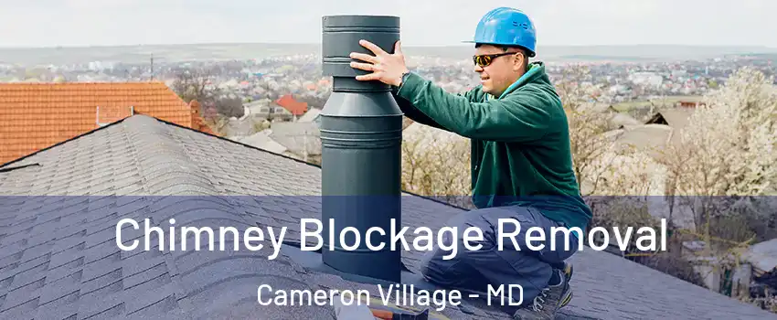 Chimney Blockage Removal Cameron Village - MD