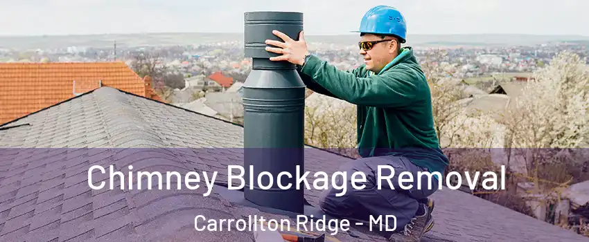 Chimney Blockage Removal Carrollton Ridge - MD