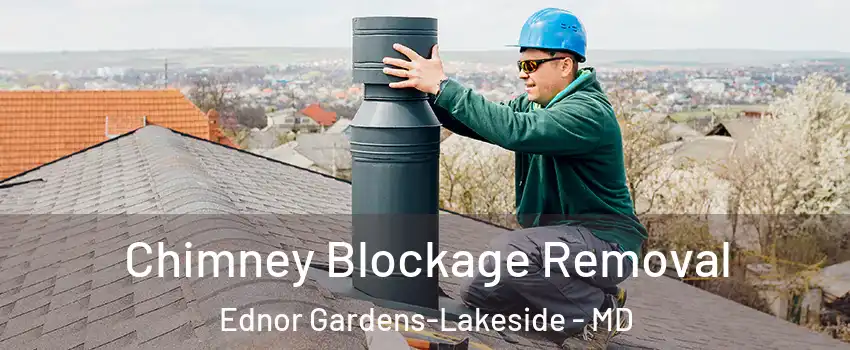 Chimney Blockage Removal Ednor Gardens-Lakeside - MD